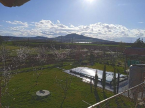 Merunky pod Palavou, Šakvice
